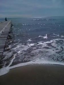 Boutique Blumarin - 23