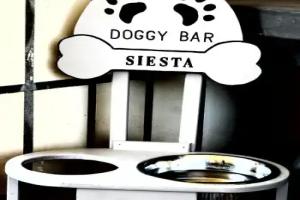 Hotel Siesta, Lido Di Camaiore