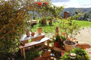 B&B Aesis La Dolce Collina, Jesi