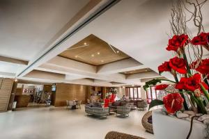 Marina di Bibbona - Hotels
