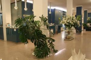 Hotel Caravelle Thalasso & Wellness, Diano Marina