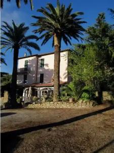 Ristorante Il Caminetto - 22