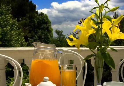 Alexander Palme - 35