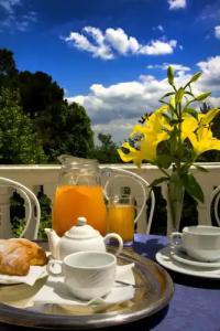 Alexander Palme - 13