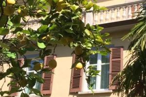 Hotel «Palmira Kinderfreies Hotel», Cannobio