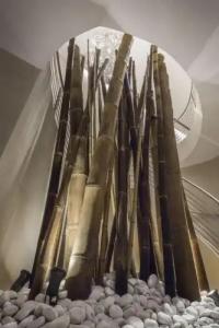 Regina Margherita - 14