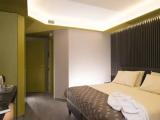 Superior Plus Double room