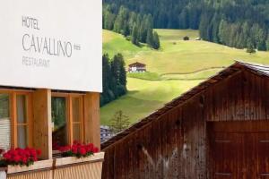 Hotel Cavallino, Badia