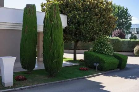 Citta' Dei Papi - 11