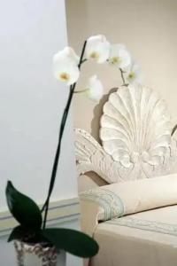 Boutique Casa Mariantonia - 33