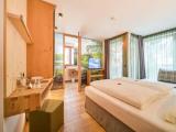 Superior Double room with balcony and with mountain view