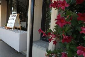 Hotel Alb's, Alba Adriatica