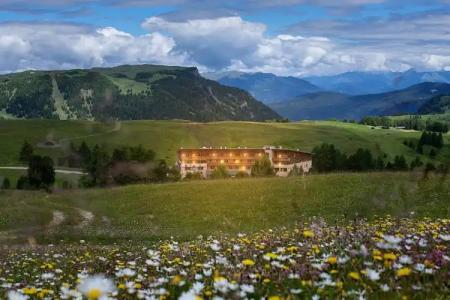 Paradiso Pure Living Vegetarian-Vegan - 40