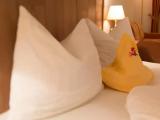 Superior Double room with balcony and with mountain view