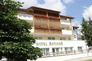 Hotel Antines, La Villa