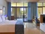 Executive Double Suite