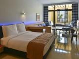 Double Junior Suite