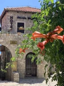 Palata Venezia - 227