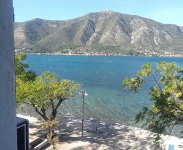 Pana-Eustahije 253 - 14