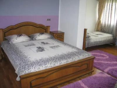 Accommodation Royal Azur - 95