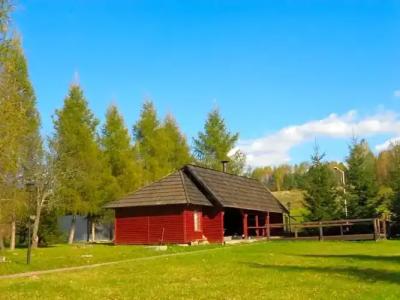 Geovita Muszyna - 12