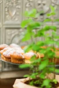 Amber Boutiques - Amber - 12