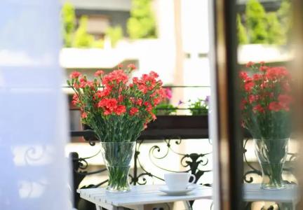 Amber Boutiques - Amber - 18