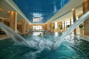 Hotel Bialowieski Conference, Wellness & SPA, Bialowieza