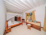 Classic Double room with balcony and with garden view