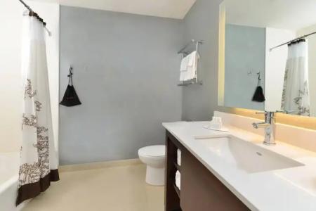 Residence Inn by Marriott Des Moines Downtown - 32