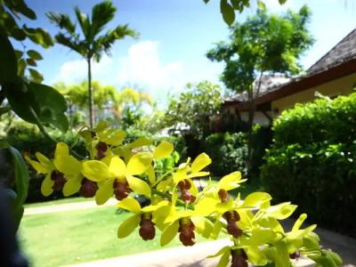 Pai Tan Villas - SHA Extra Plus - 17