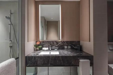 Pan Pacific Serviced Suites Orchard, Singapore - 100