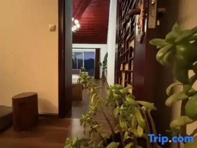 Ko Tao Resort Paradise Zone - SHA Plus - 175