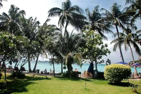 Palm Leaf Resort Koh Tao - 20