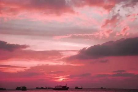 Palm Leaf Resort Koh Tao - 26