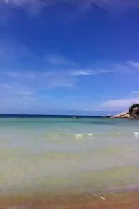 Palm Leaf Resort Koh Tao - 40