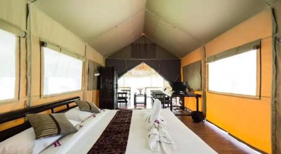 Khao Sok Paradise Resort - 3