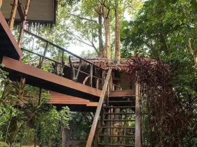 Khao Sok Paradise Resort - 12