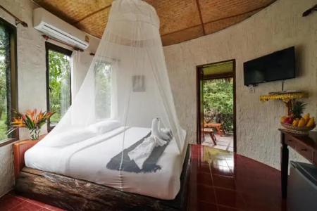 Khao Sok Paradise Resort - 29