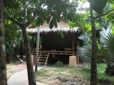 Khao Sok Paradise Resort - 22