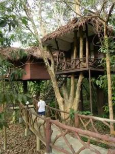 Khao Sok Paradise Resort - 40