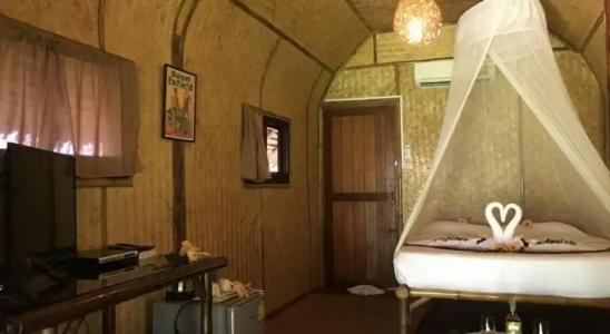 Khao Sok Paradise Resort - 11