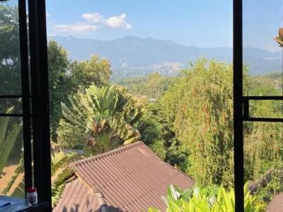 Pura Vida Pai Resort - 90