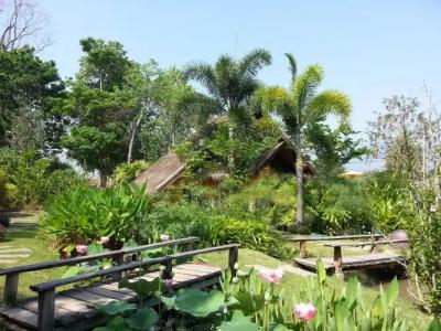 Pura Vida Pai Resort - 101