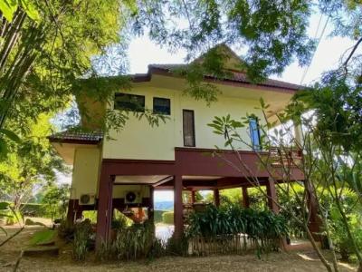 Pura Vida Pai Resort - 97