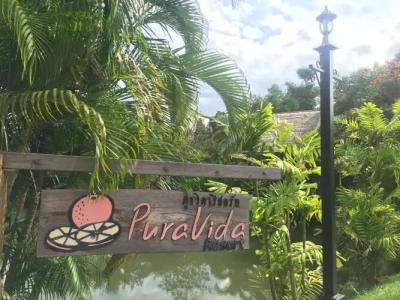 Pura Vida Pai Resort - 93