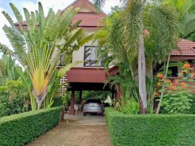 Pura Vida Pai Resort - 89