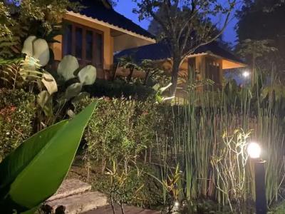 Pura Vida Pai Resort - 61