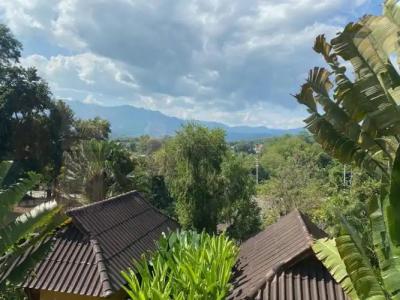 Pura Vida Pai Resort - 87