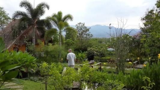 Pura Vida Pai Resort - 18